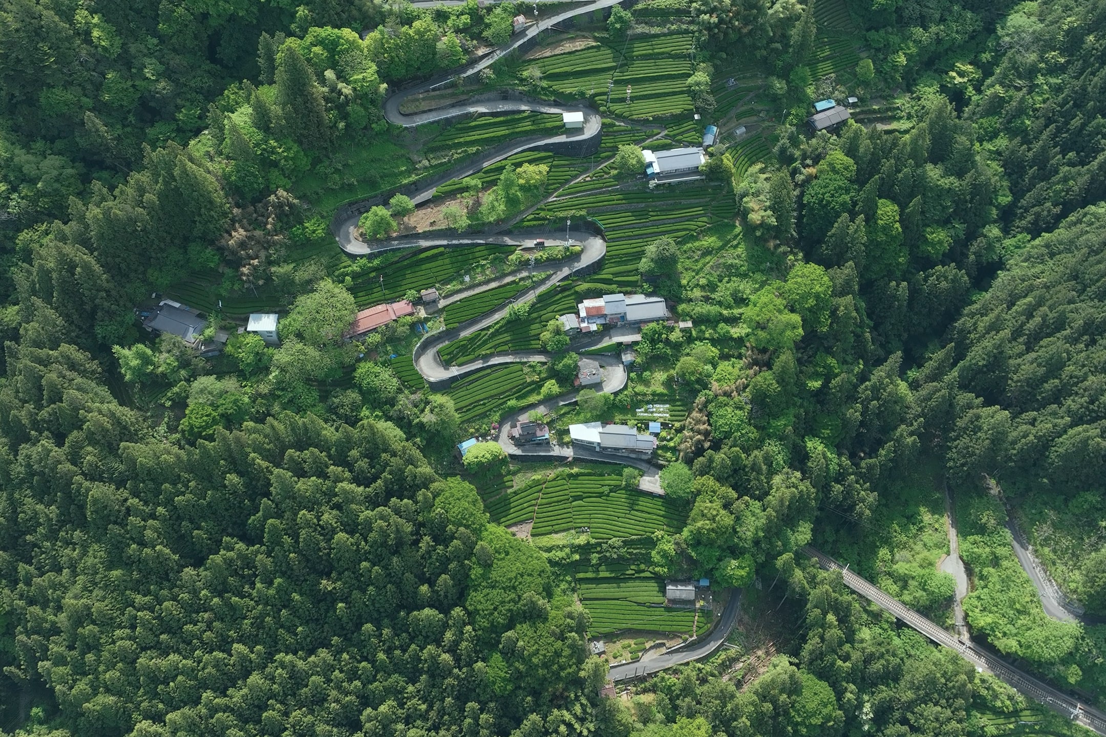 An aerial drone shot of tea fields in the Nakai Samurai district taken from directly above